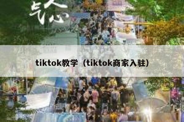 tiktok教学（tiktok商家入驻） 第1张