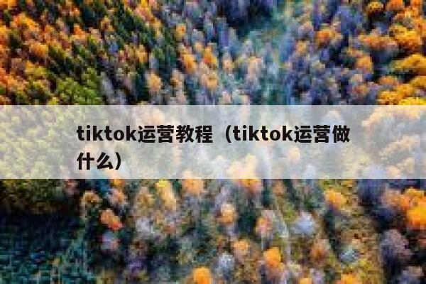 tiktok运营教程(tiktok运营做什么) 第1张 tiktok运营教程(tiktok运营做什么) 第1张
