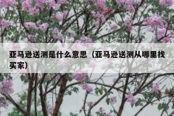亚马逊送测是什么意思（亚马逊送测从哪里找买家） 第1张