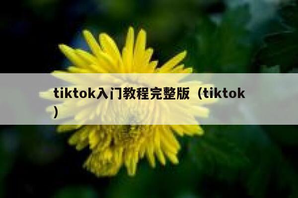 tiktok入门教程完整版（tiktok） 第1张