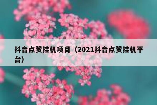 抖音点赞挂机项目（2021抖音点赞挂机平台） 第1张
