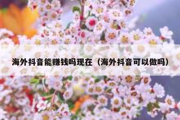 海外抖音能赚钱吗现在（海外抖音可以做吗） 第1张