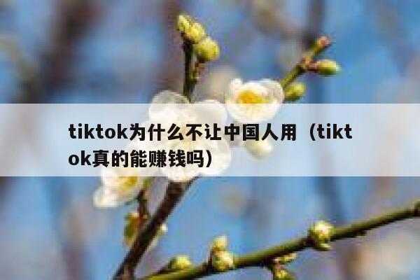 tiktok为什么不让中国人用（tiktok真的能赚钱吗） 第1张