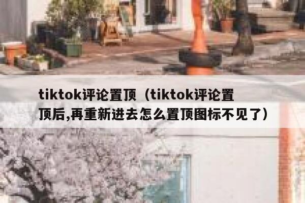 tiktok评论置顶（tiktok评论置顶后,再重新进去怎么置顶图标不见了） 第1张
