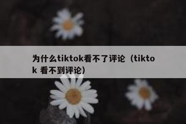 为什么tiktok看不了评论(tiktok 看不到评论) 第1张 为什么tiktok看不了评论(tiktok 看不到评论) 第1张