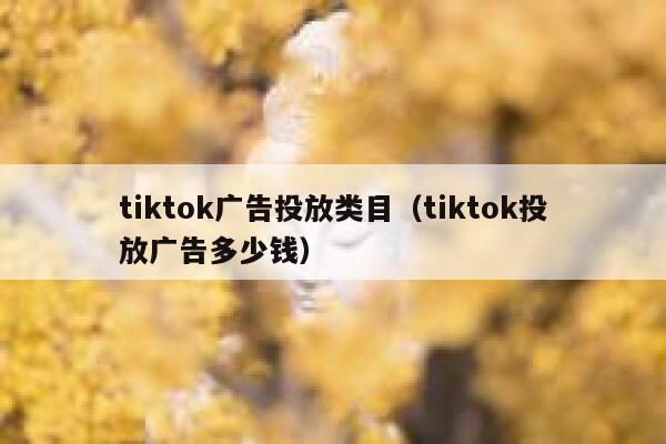 tiktok广告投放类目（tiktok投放广告多少钱） 第1张