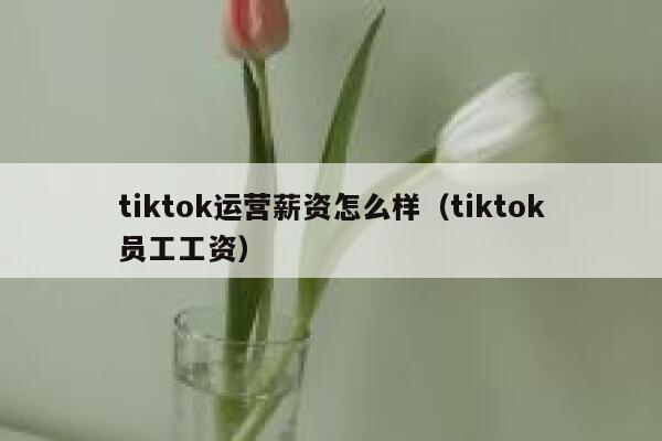 tiktok运营薪资怎么样(tiktok员工工资) 第1张 tiktok运营薪资怎么样(tiktok员工工资) 第1张