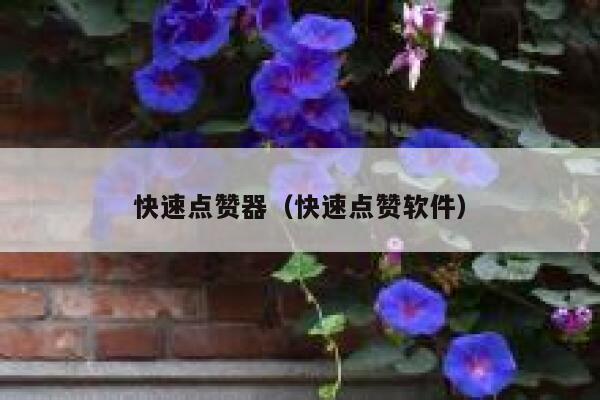 快速点赞器（快速点赞软件） 第1张