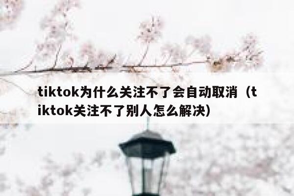 tiktok为什么关注不了会自动取消（tiktok关注不了别人怎么解决） 第1张