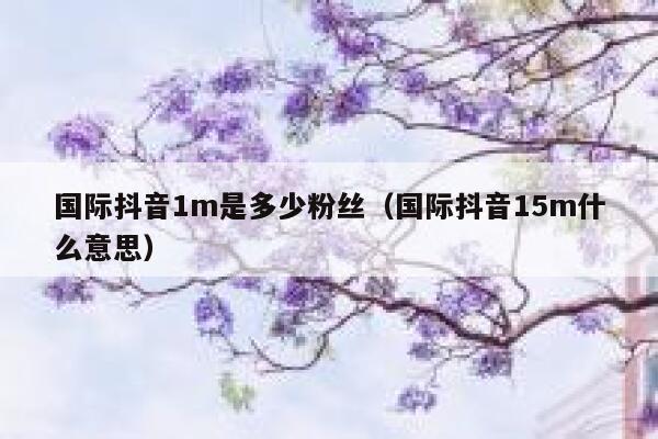 国际抖音1m是多少粉丝（国际抖音15m什么意思） 第1张