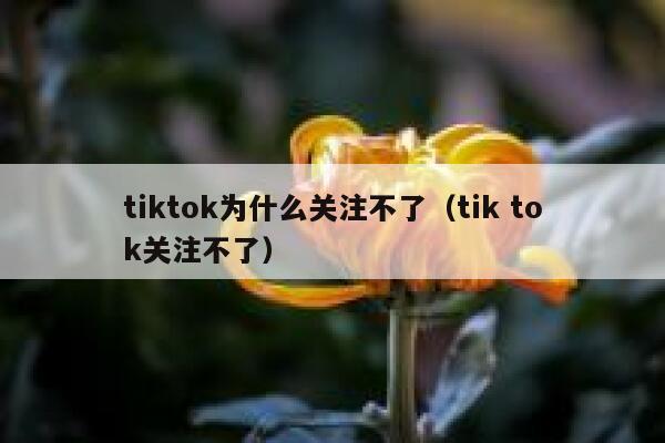 tiktok为什么关注不了（tik tok关注不了） 第1张