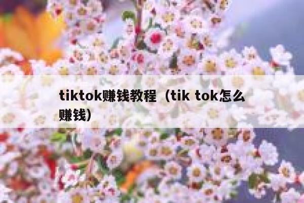 tiktok赚钱教程（tik tok怎么赚钱） 第1张