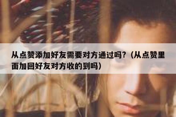 从点赞添加好友需要对方通过吗?（从点赞里面加回好友对方收的到吗） 第1张