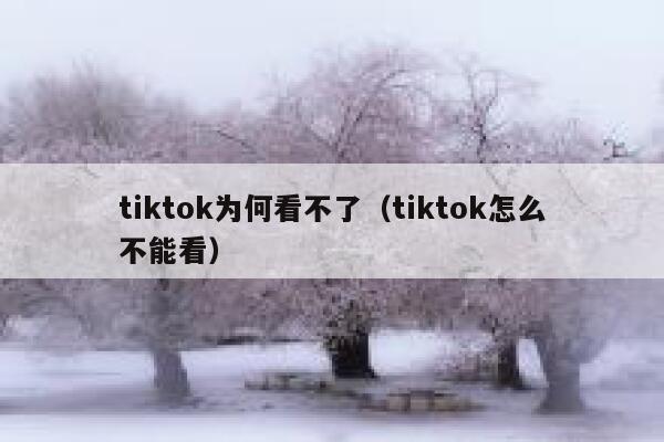 tiktok为何看不了（tiktok怎么不能看） 第1张