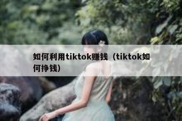 如何利用tiktok赚钱（tiktok如何挣钱） 第1张