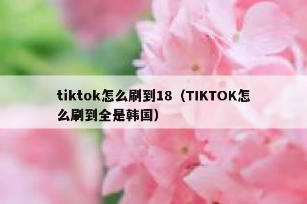 tiktok怎么刷到18（TIKTOK怎么刷到全是韩国） 第1张