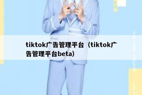 tiktok广告管理平台（tiktok广告管理平台beta） 第1张