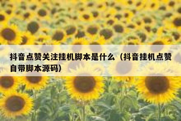 抖音点赞关注挂机脚本是什么（抖音挂机点赞自带脚本源码） 第1张