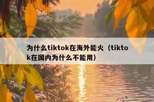为什么tiktok在海外能火(tiktok在国内为什么不能用) 第1张 为什么tiktok在海外能火(tiktok在国内为什么不能用) 第1张