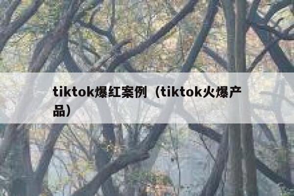 tiktok爆红案例(tiktok火爆产品) 第1张 tiktok爆红案例(tiktok火爆产品) 第1张