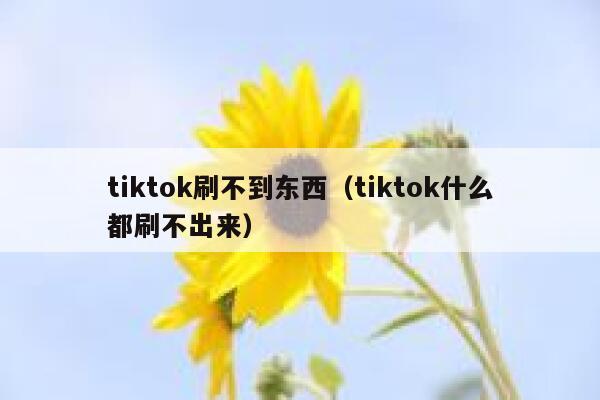 tiktok刷不到东西（tiktok什么都刷不出来） 第1张