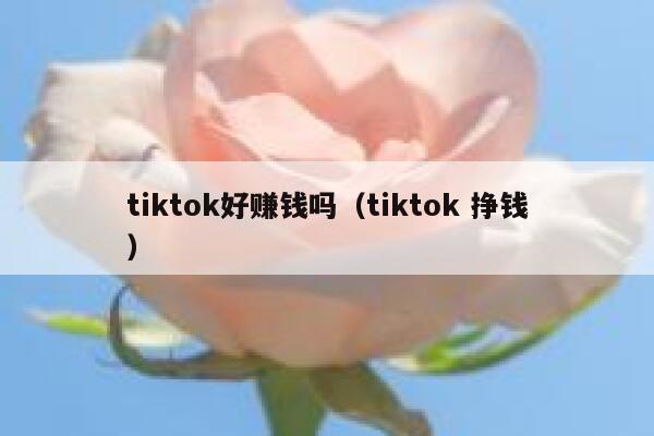 tiktok好赚钱吗（tiktok 挣钱） 第1张