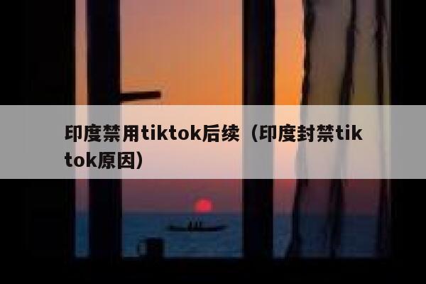 印度禁用tiktok后续（印度封禁tiktok原因） 第1张