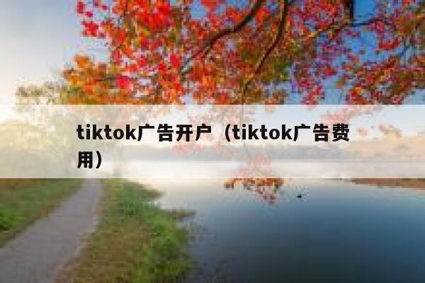 tiktok广告开户（tiktok广告费用） 第1张