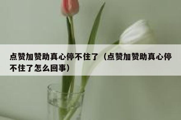 点赞加赞助真心停不住了（点赞加赞助真心停不住了怎么回事） 第1张