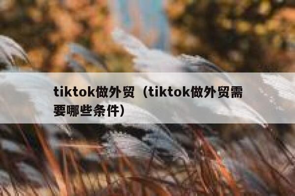 tiktok做外贸（tiktok做外贸需要哪些条件） 第1张