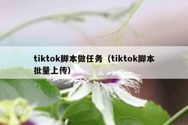 tiktok脚本做任务（tiktok脚本批量上传） 第1张