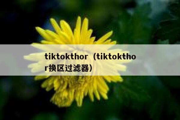 tiktokthor（tiktokthor换区过滤器） 第1张