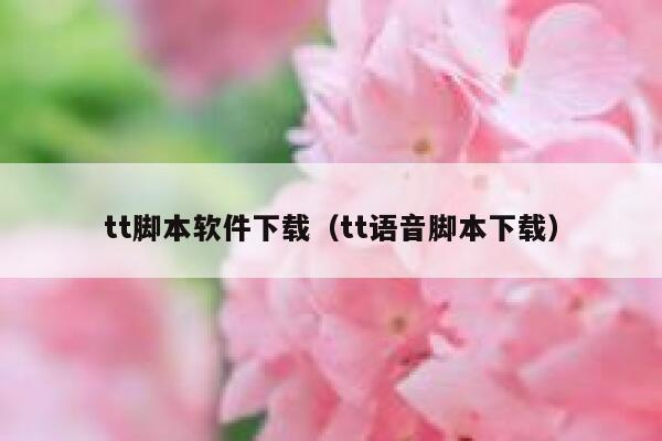 tt脚本软件下载（tt语音脚本下载） 第1张