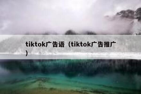 tiktok广告语（tiktok广告推广） 第1张