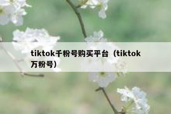 tiktok千粉号购买平台（tiktok万粉号） 第1张
