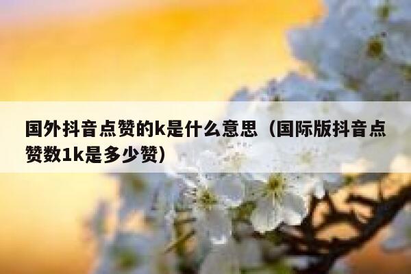 国外抖音点赞的k是什么意思（国际版抖音点赞数1k是多少赞） 第1张