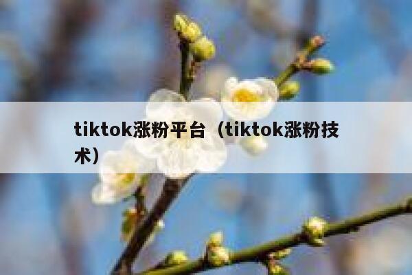 tiktok涨粉平台（tiktok涨粉技术） 第1张