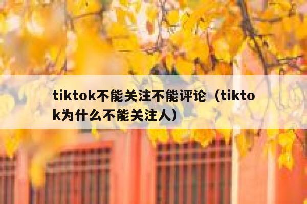 tiktok不能关注不能评论（tiktok为什么不能关注人） 第1张