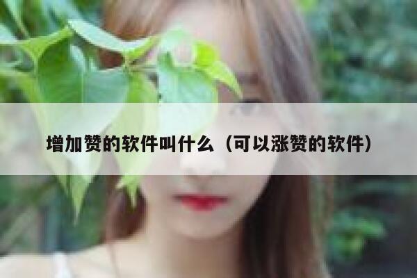 增加赞的软件叫什么（可以涨赞的软件） 第1张