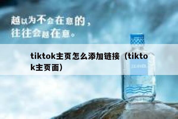 tiktok主页怎么添加链接（tiktok主页面） 第1张