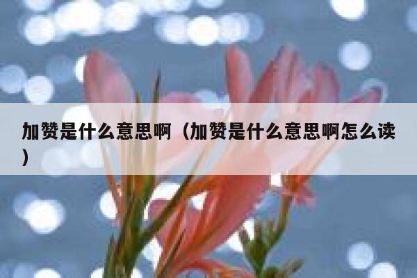 加赞是什么意思啊（加赞是什么意思啊怎么读） 第1张