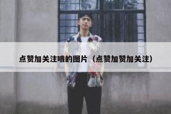 点赞加关注哦的图片（点赞加赞加关注） 第1张