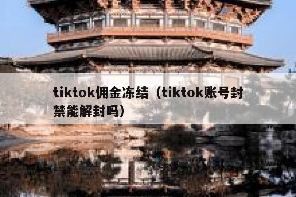 tiktok佣金冻结（tiktok账号封禁能解封吗） 第1张