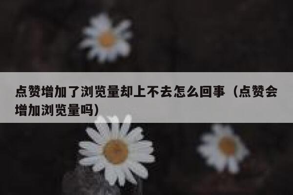 点赞增加了浏览量却上不去怎么回事（点赞会增加浏览量吗） 第1张