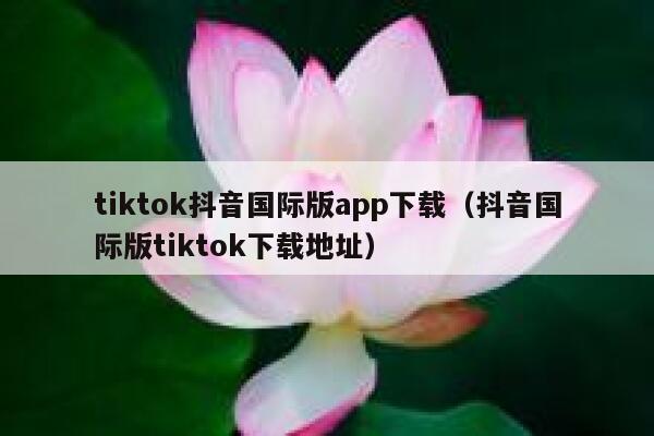tiktok抖音国际版app下载(抖音国际版tiktok下载地址) 第1张 tiktok抖音国际版app下载(抖音国际版tiktok下载地址) 第1张