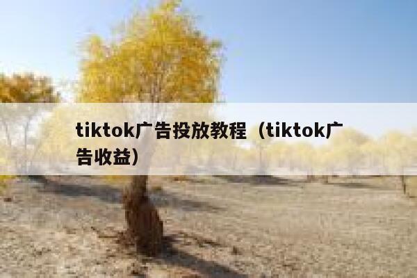 tiktok广告投放教程（tiktok广告收益） 第1张