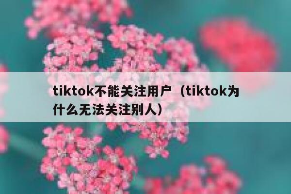tiktok不能关注用户(tiktok为什么无法关注别人) 第1张 tiktok不能关注用户(tiktok为什么无法关注别人) 第1张