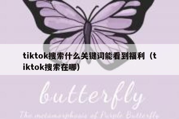 tiktok搜索什么关键词能看到福利（tiktok搜索在哪） 第1张