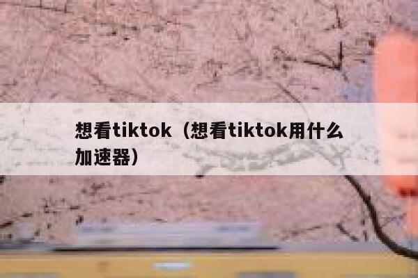 想看tiktok（想看tiktok用什么加速器） 第1张