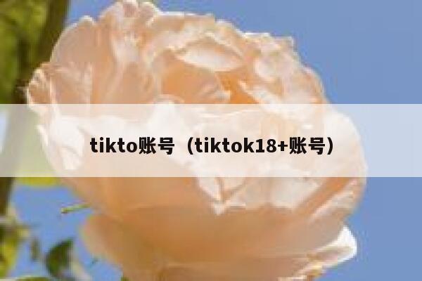 tikto账号（tiktok18+账号） 第1张